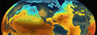 Sea Surface Temperature