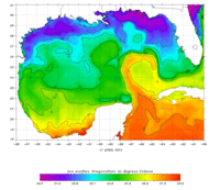 Gulf of Mexico Contoured Field thumbnail