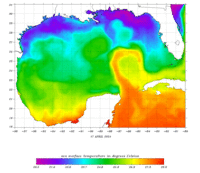 Gulf of Mexico Colored Field thumbnail