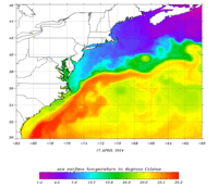 North Atlantic Colored Field thumbnail