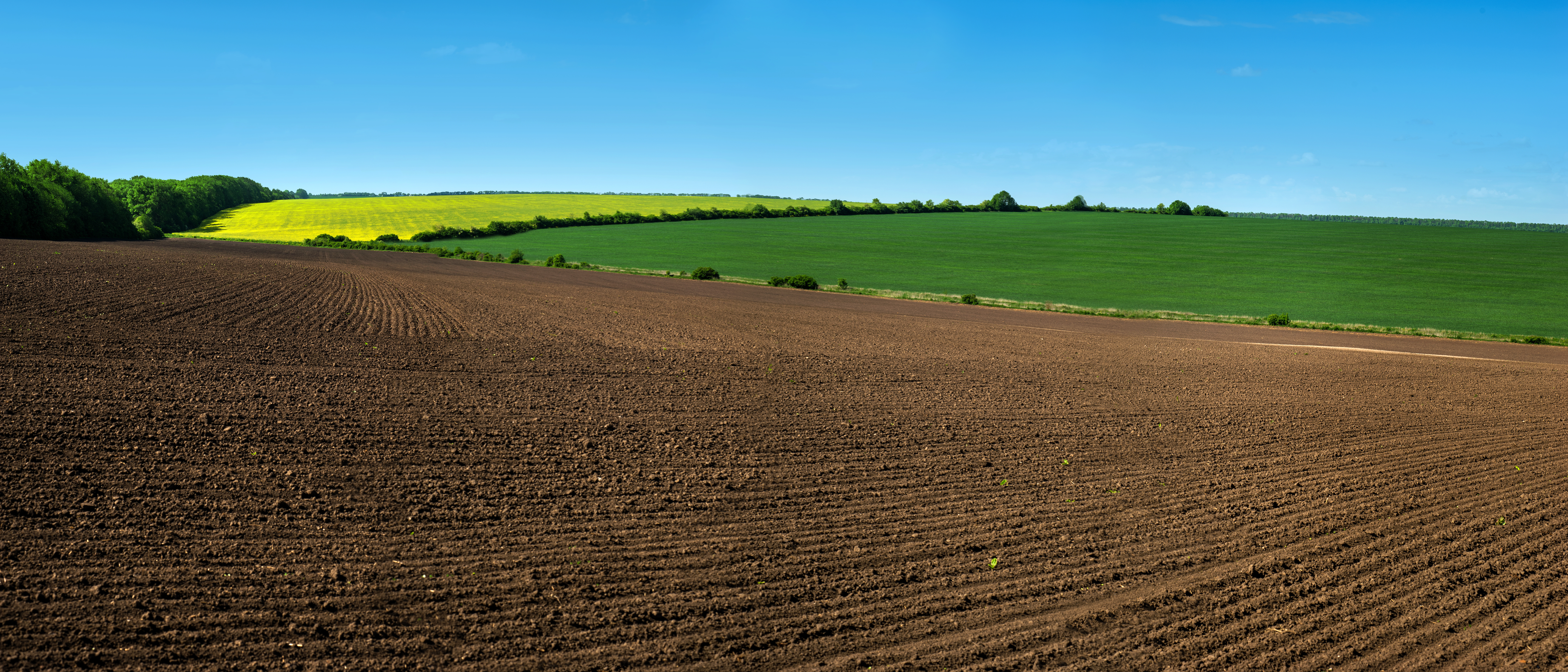 Land Banner